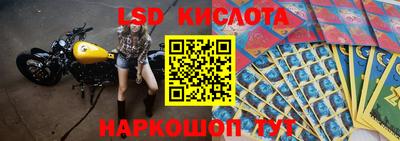 сатива Коммунар