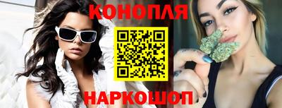 сатива Коммунар