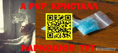 сатива Коммунар