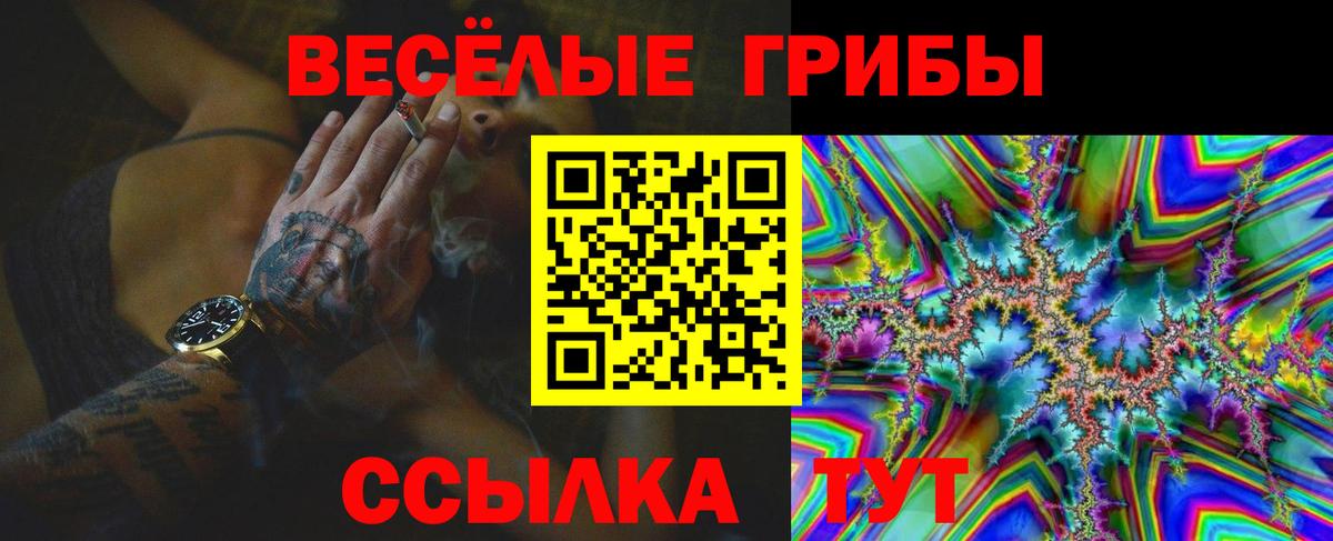 Псилоцибиновые грибы Psilocybe  Вход с VPN  закладка  Куйбышев 